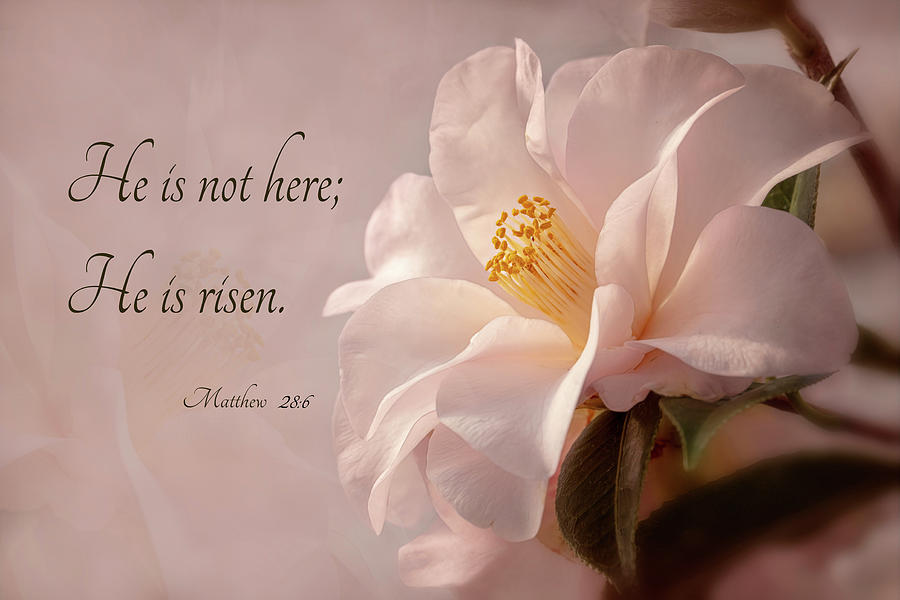 He Is Risen Photograph by Mary Jo Allen