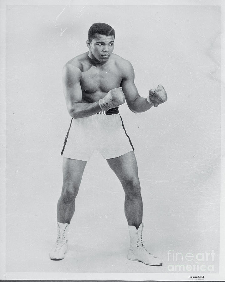 Heavyweight Boxer Muhammad Ali by Bettmann HEAVYWEIGHT