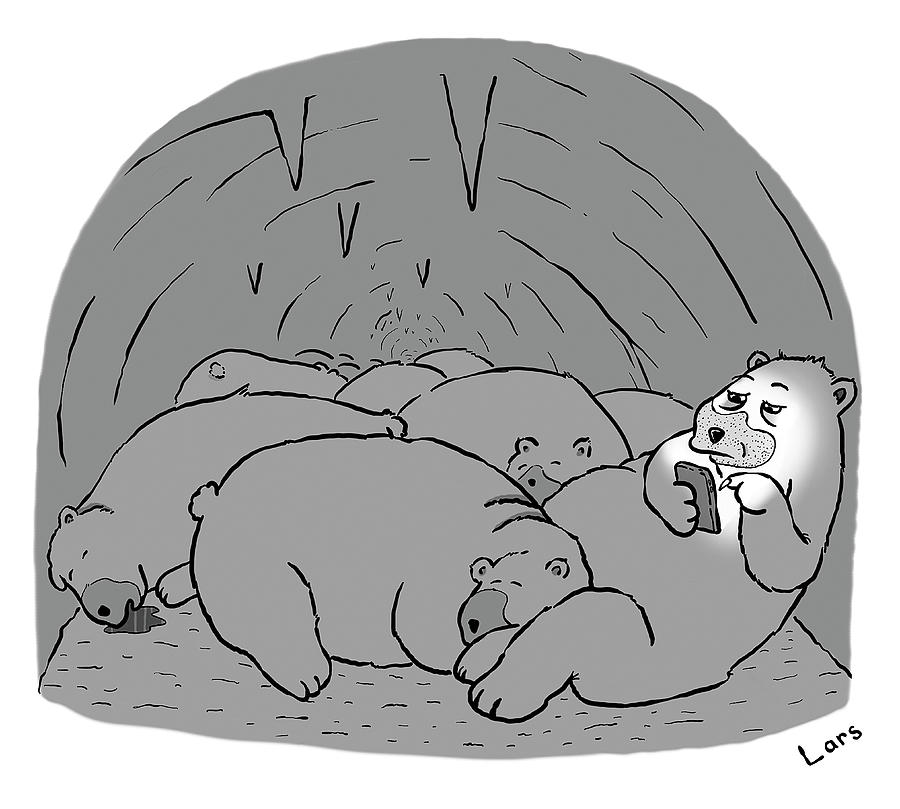 Bears Resting in a Cave Drawing - Hibernation by Lars Kenseth