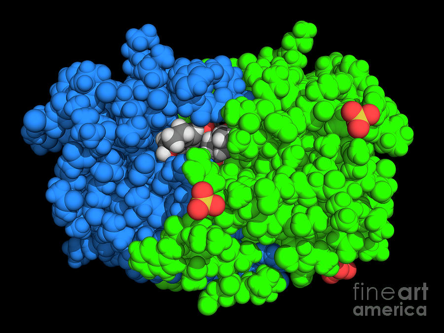 Hiv-1 Protease Complexed With Nr02-73 by Laguna Design / Science Photo ...