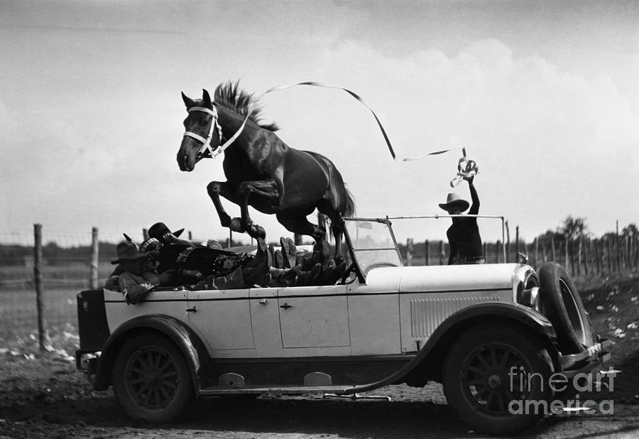 Horse Jumping Over Car by Bettmann