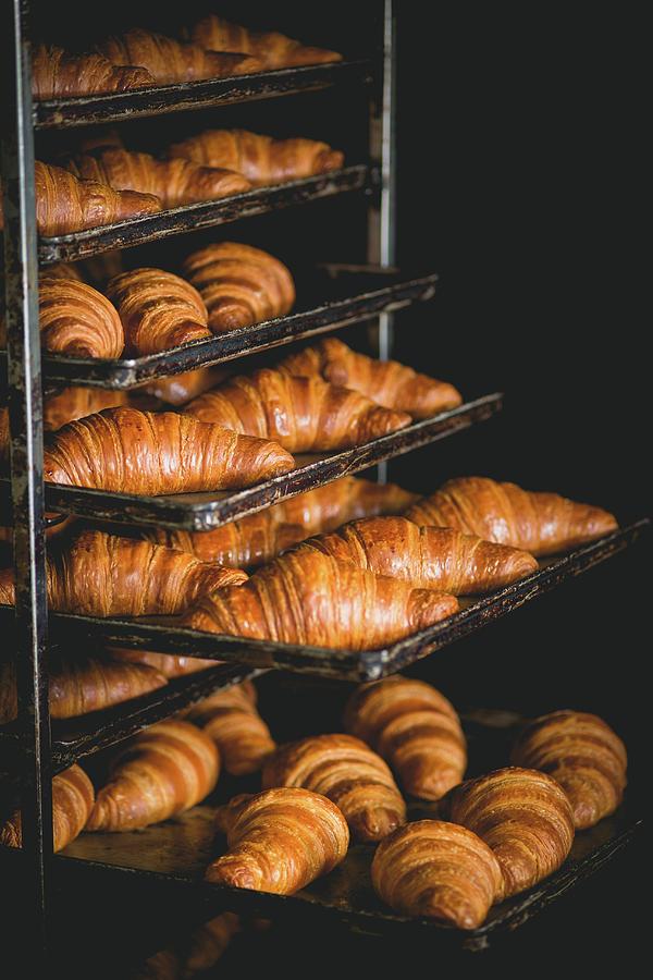 Hot Croissants On Baking Trays Photograph by Riccardobruni