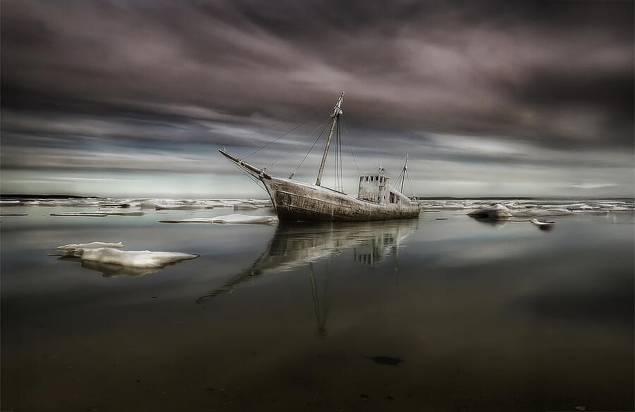 In The Ocean Of Baseness ... by Yvette Depaepe