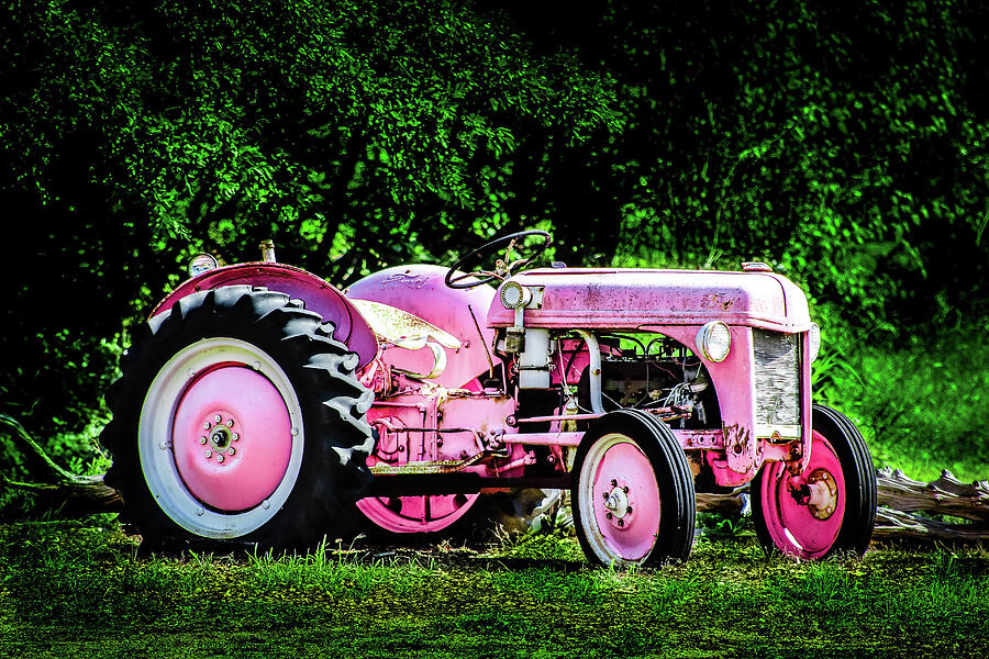 In the Pink Photograph by KC Hulsman