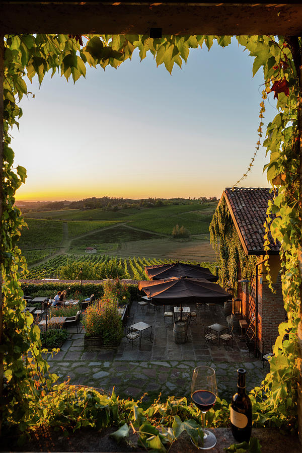 Italy, Piedmont, Alessandria District, Gavi, Monterotondo Locality, Vineyards View Through A Window Digital Art by Massimo Ripani