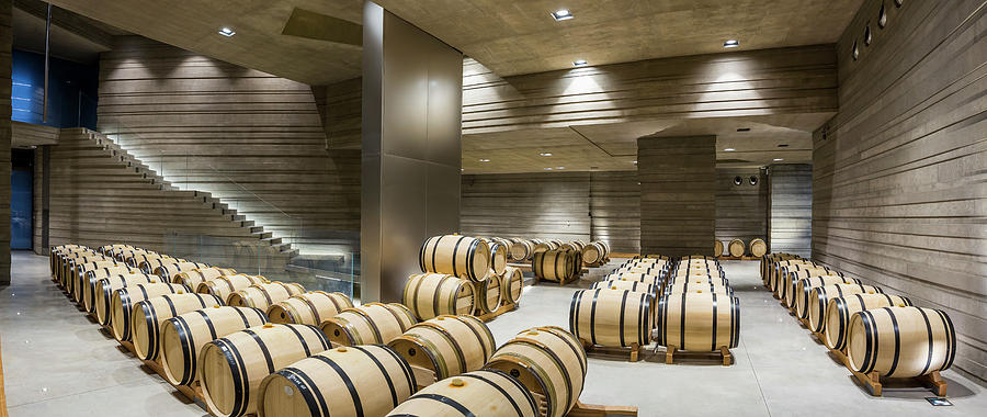 Italy, Tuscany, Livorno District, Maremma, Bolgheri, Bolgheri Wine Area, Il Masseto Winery, The Wine Cellar, Project By The Architects Hikaru Mori And Maurizio Zito Digital Art by Massimo Borchi