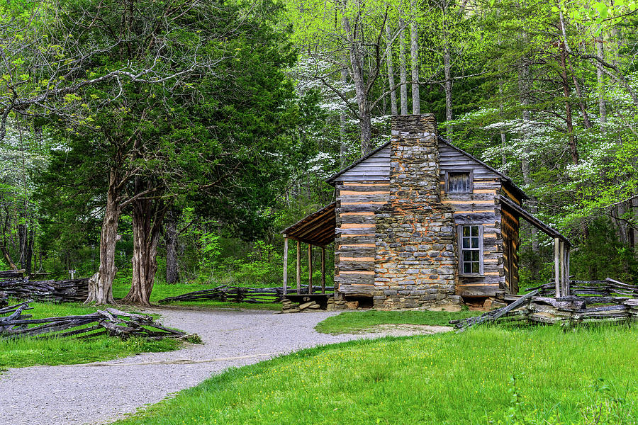John Oliver Cabin Photograph by Lloyd Gillies