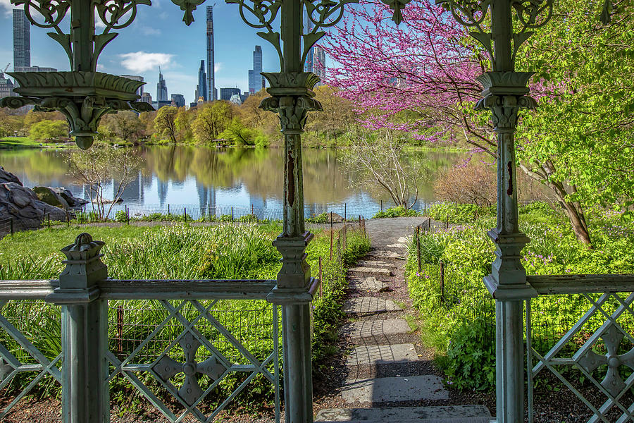 Lake, Central Park, Nyc Digital Art by Claudia Uripos