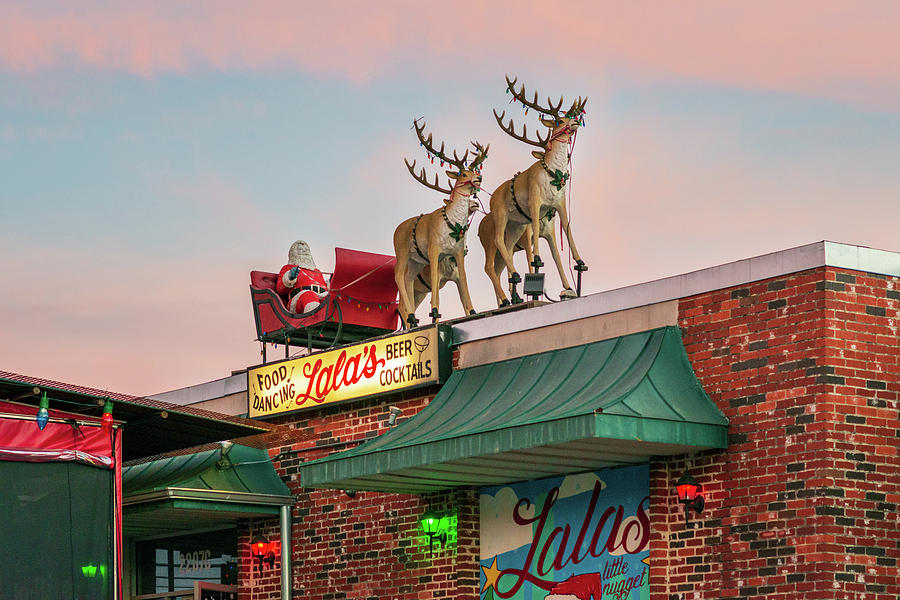 Lalas Little Nugget Photograph by Slow Fuse Photography