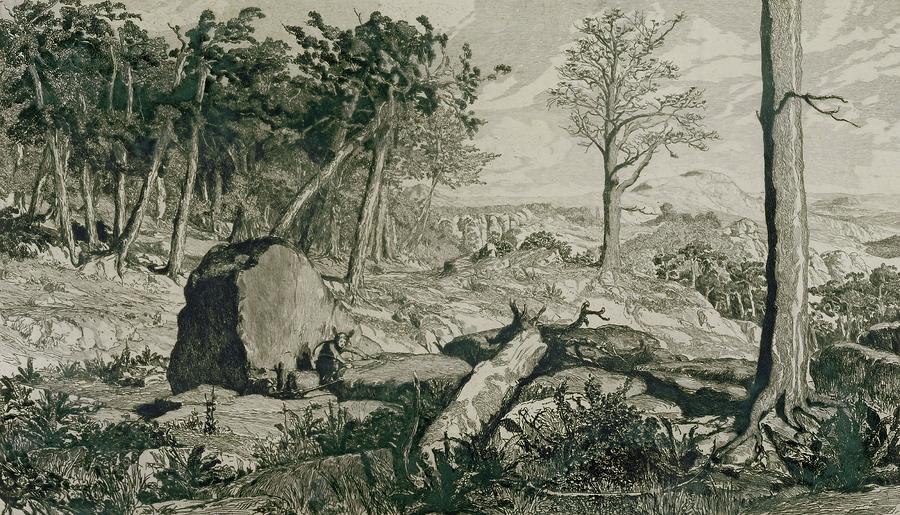 Landscape with trees, 1883 Etching,40 x 22,5 cm. by Max Klinger