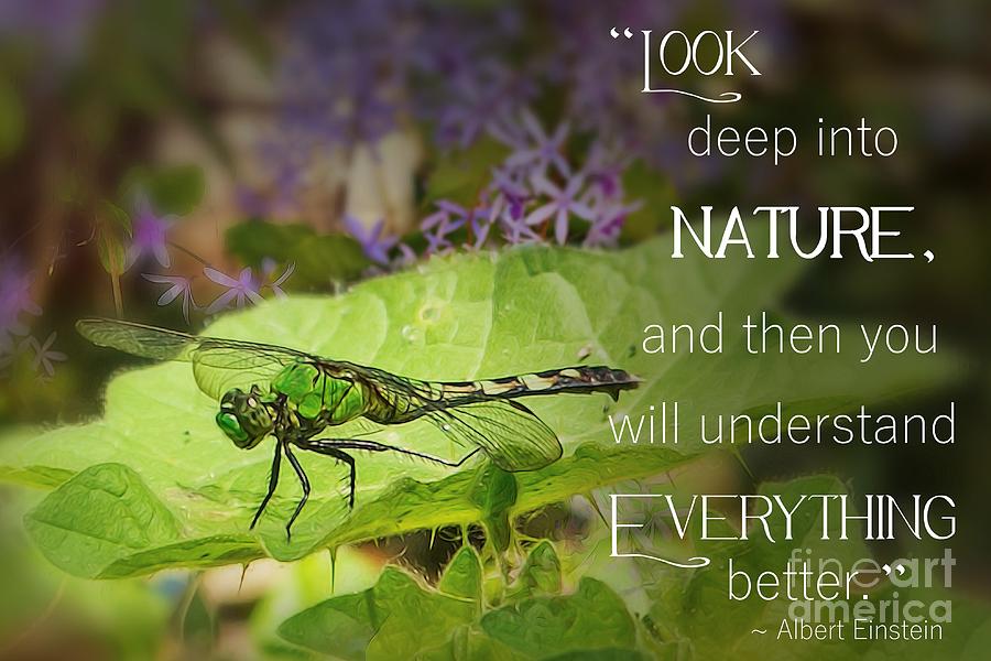 Look Deep Into Nature Photograph by Mary Lou Chmura