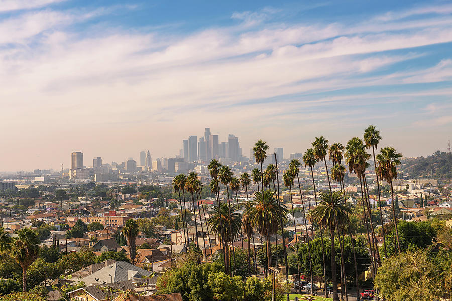 Los Angeles skyline at sunset with palm trees in the foreground Photograph by Miroslav Liska