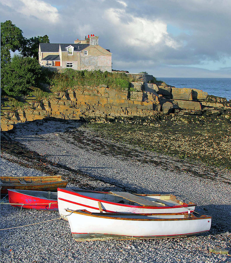 Low Tide Photograph by Randall Dill