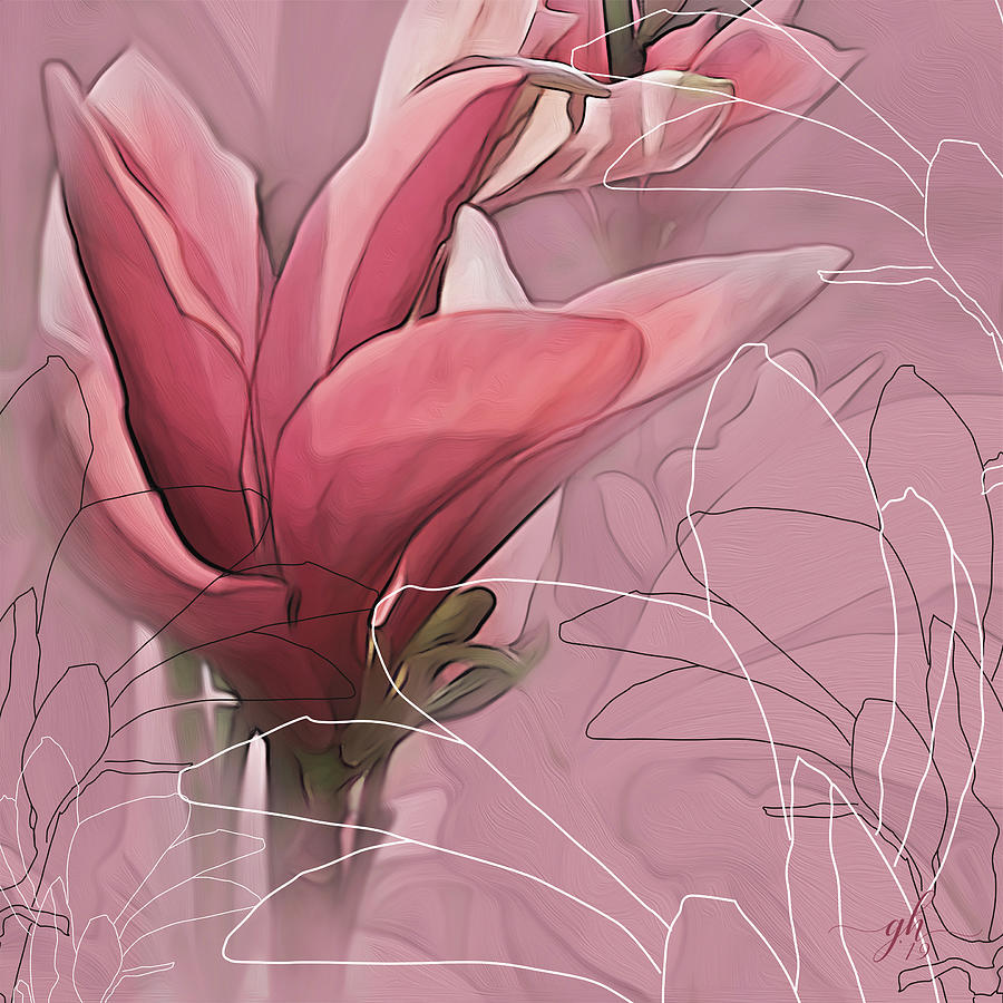 Magnolia Musings Digital Art by Gina Harrison