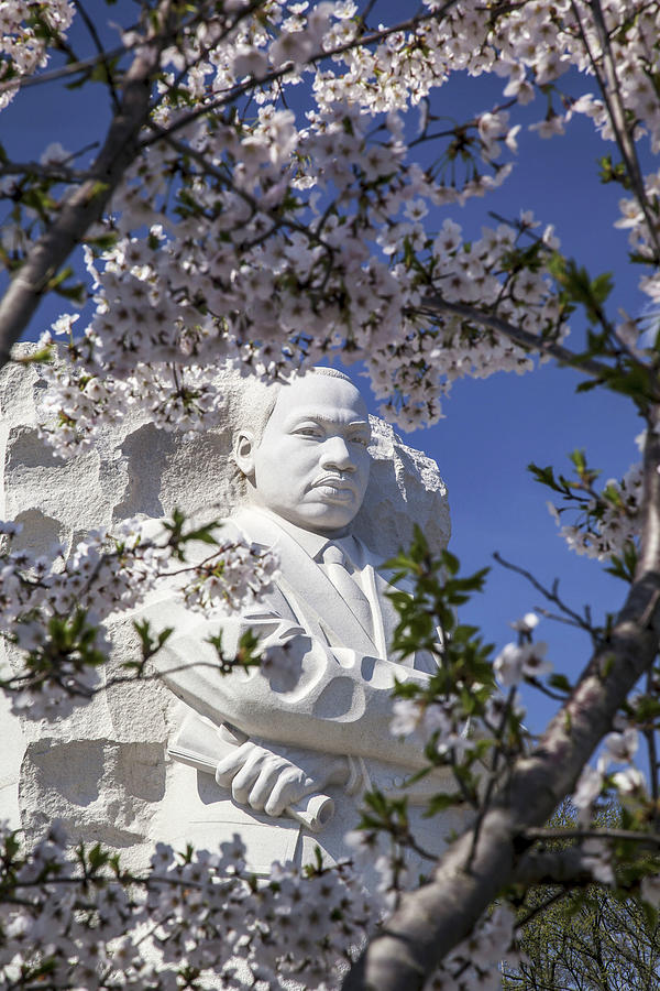 Mlk Jr Memorial, Washington Dc Digital Art by Milton Photography