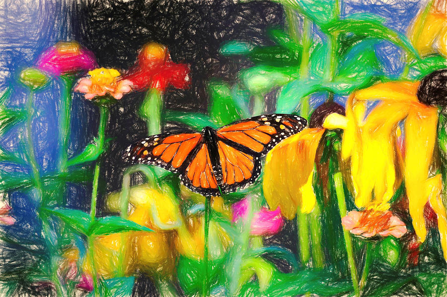 Monarch Butterfly Colored Pencil Photograph by Don Northup
