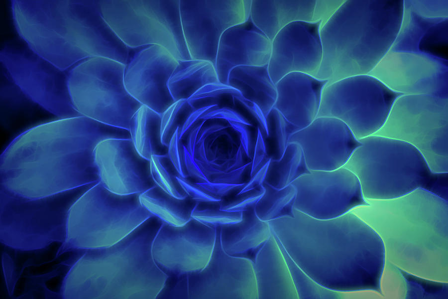 Neon Blue Sempervivum Digital Art by Scott Lyons
