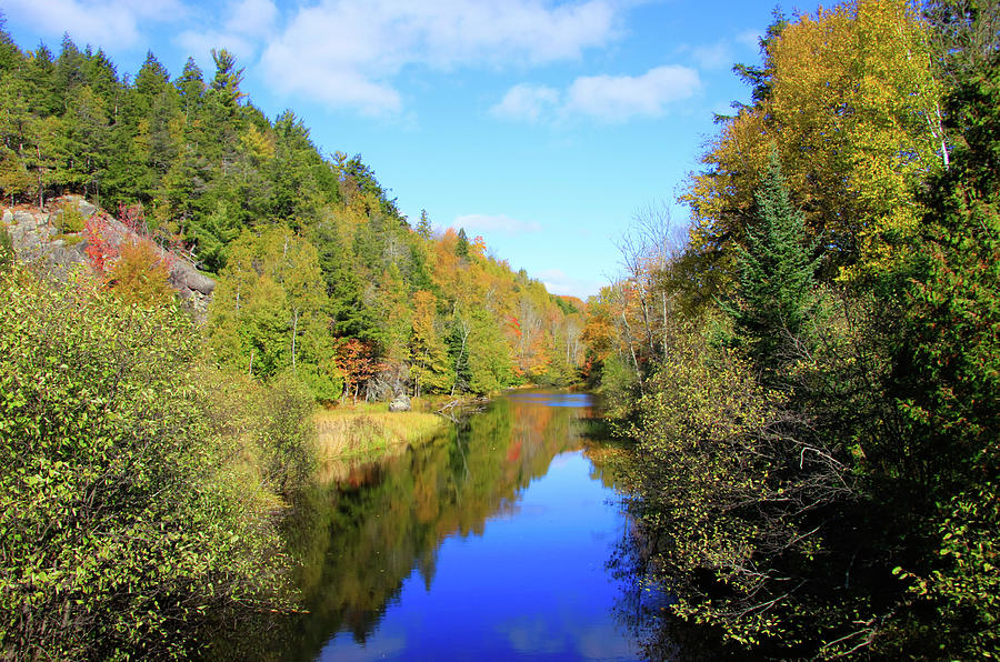 Northwoods Reflection Photograph by Dawn Richards
