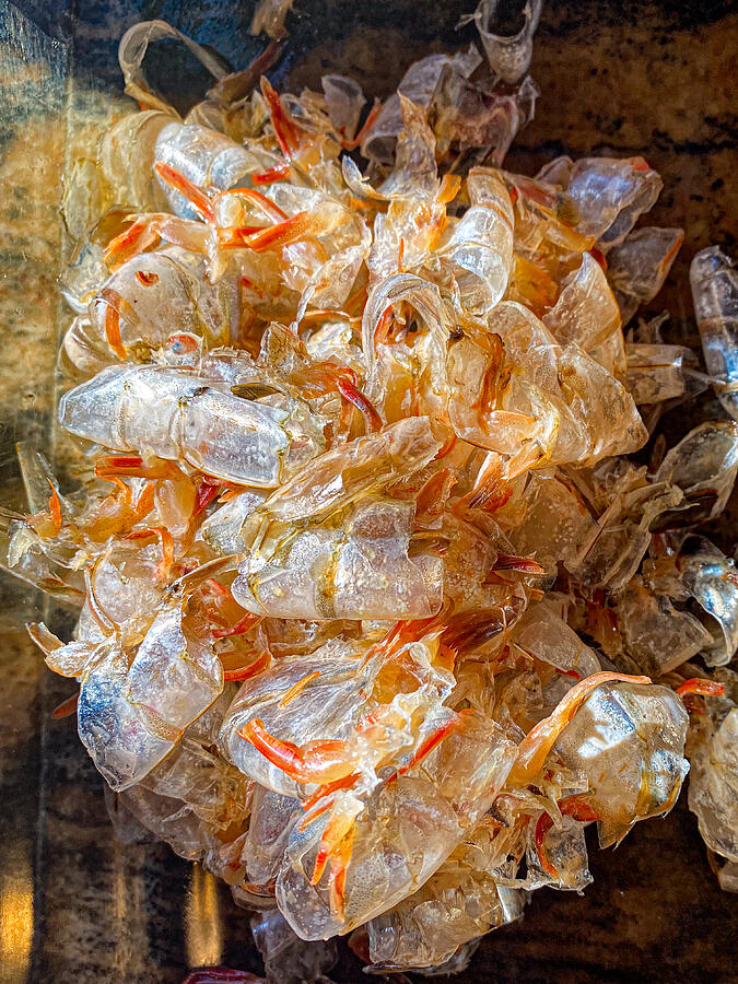 Off Shells by Leonid Yermoshkin