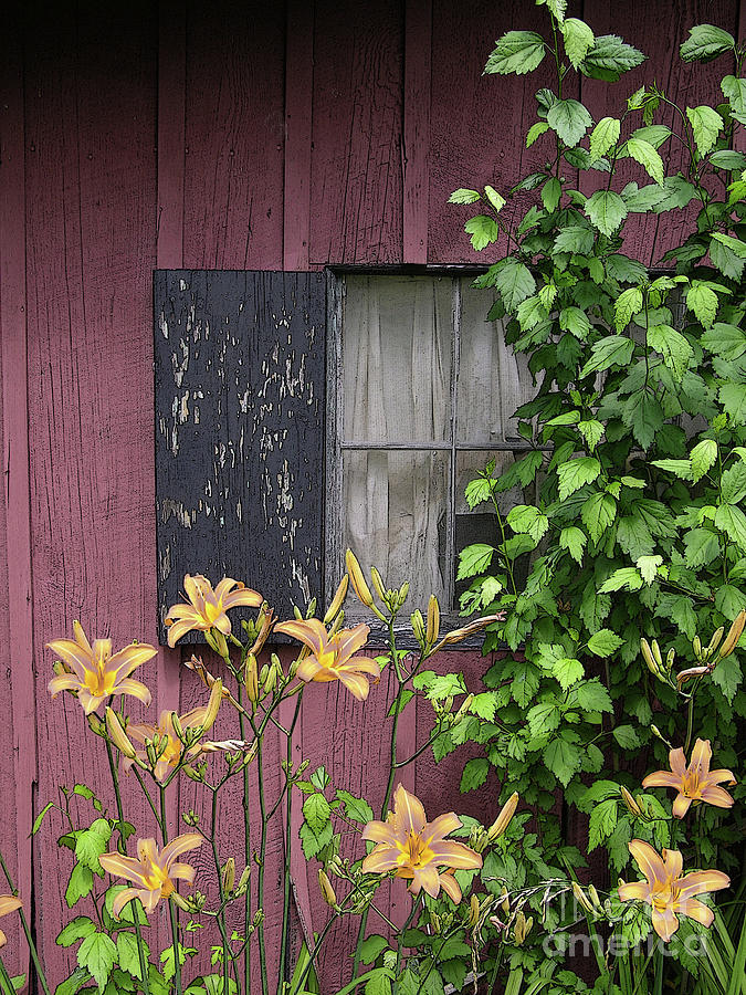 Old Guest House Photograph by Randall Dill