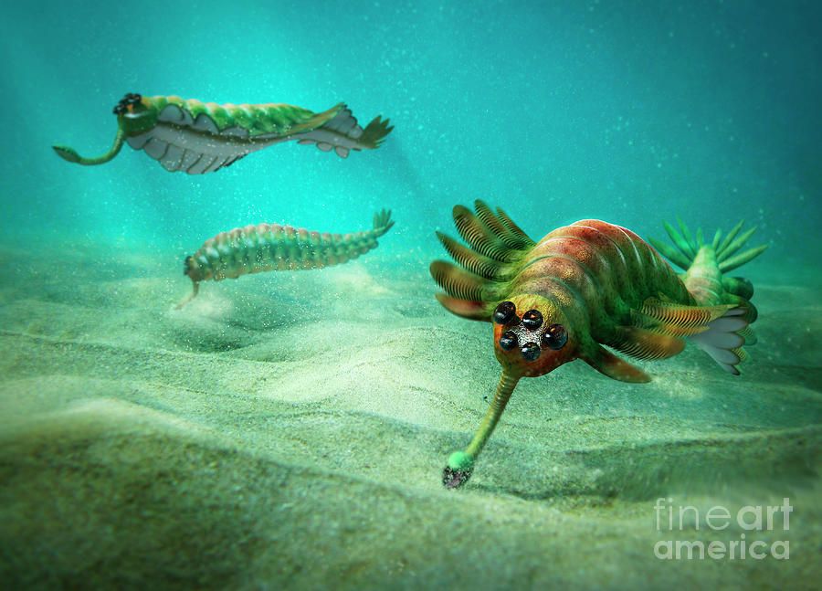 Opabinia by Jose Antonio Pe? as / Science Photo Library