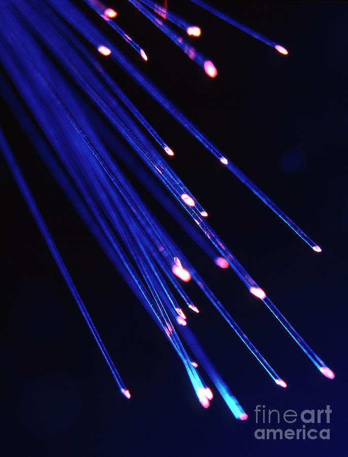 Optical Fibres by Steve Horrell / Science Photo Library