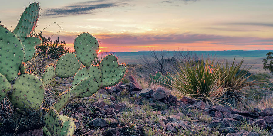 Perfect Imperfect Photograph by Slow Fuse Photography