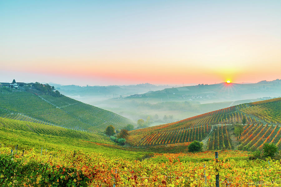 Piedmont, Barbaresco, Italy Digital Art by Marco Arduino