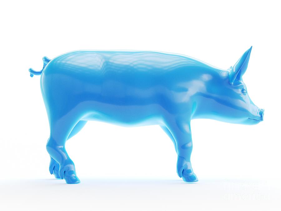 Pig by 3Dmedisphere / Science Photo Library