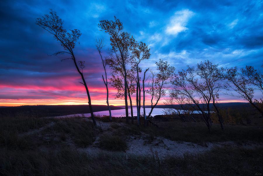 Pink Dawn Photograph by Owen Weber
