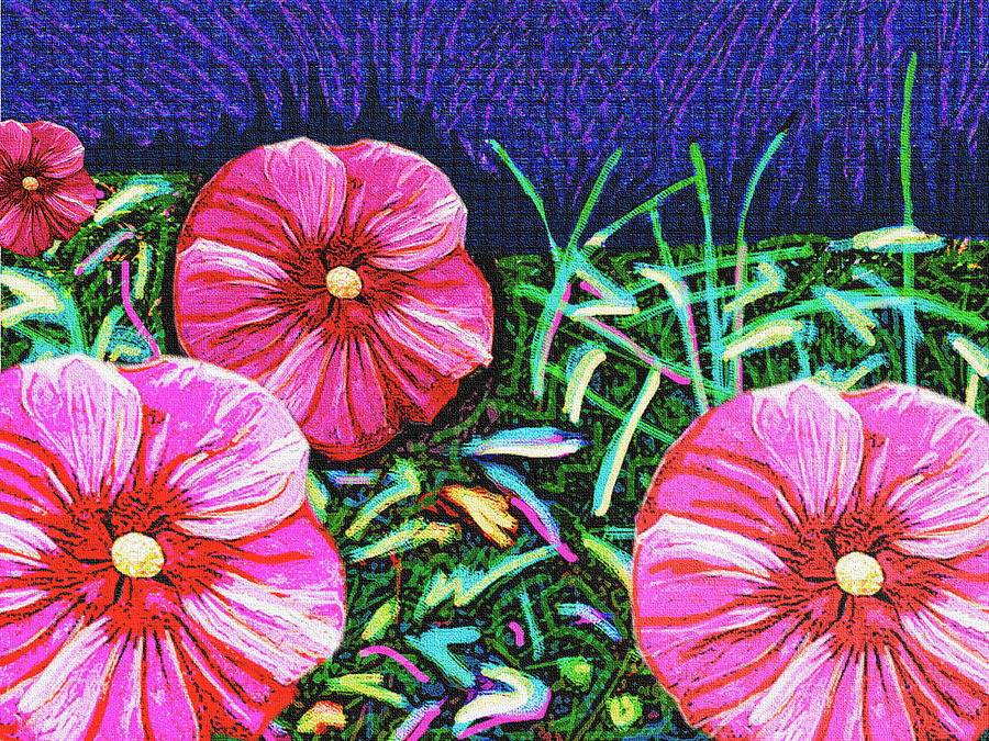 Pink Mallow Nights Digital Art by Rod Whyte