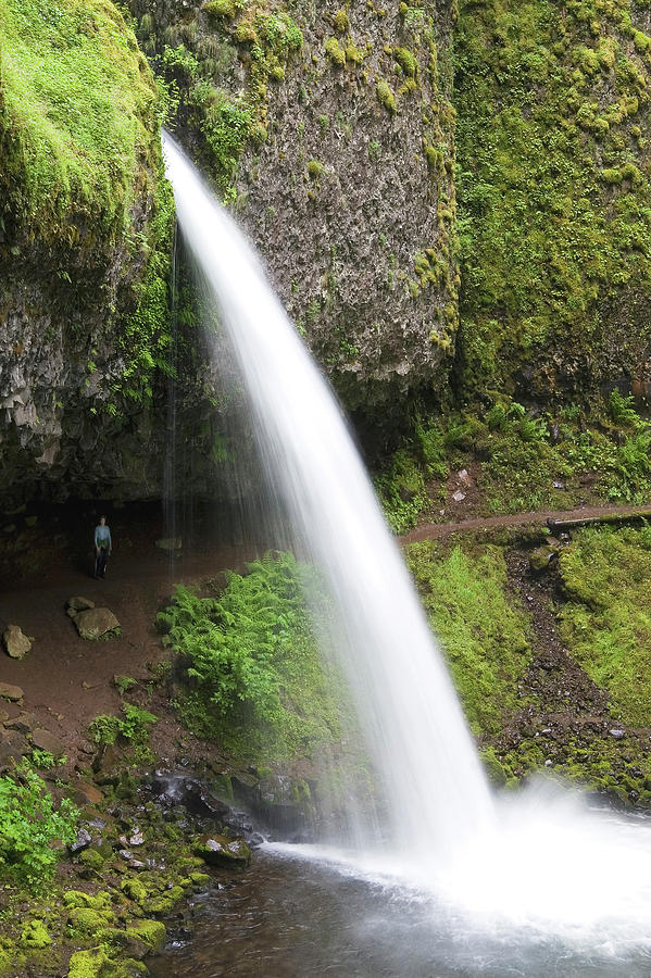 Pony Tail Falls Photograph by Steven David Roberts