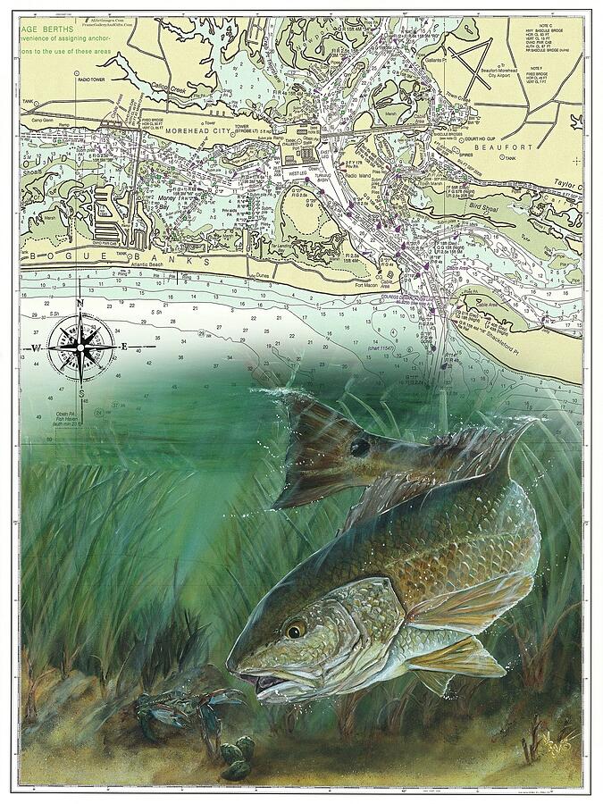 Red Drum and Blue Crab Painting by Mark Ray