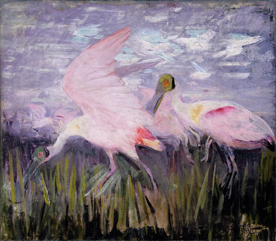 Roseate Spoonbills in a Marsh Landscape Painting - Roseate Spoonbills, Study For Book Concealing Coloration by Abbott Handerson Thayer