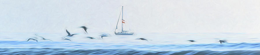 Sailboat And Gulls Photograph by Steven Sparks