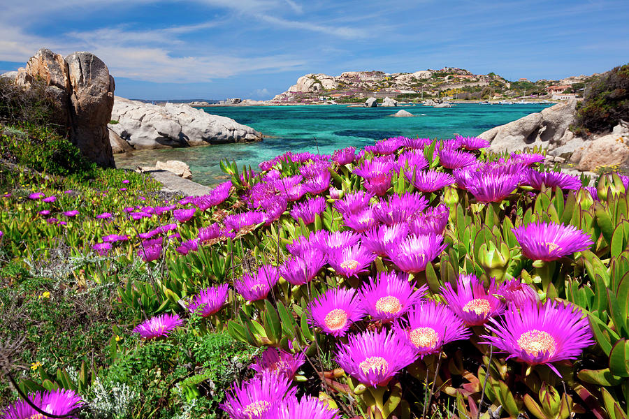 Sardinia, La Maddalena, Italy Digital Art by Olimpio Fantuz