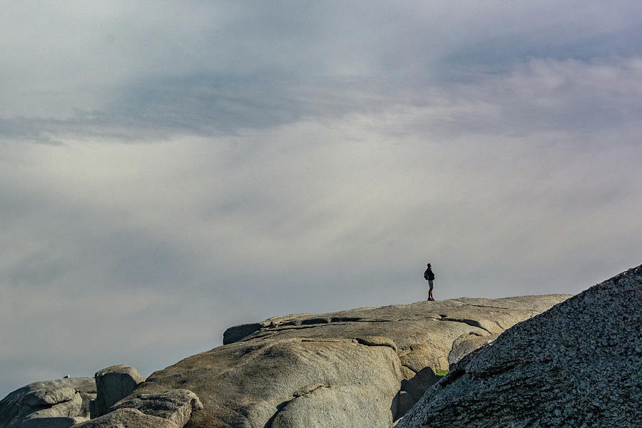 Camps Bay Sentry Photograph by Douglas Wielfaert