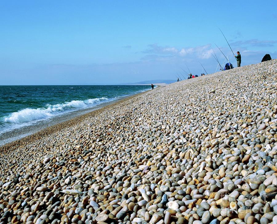 Shingle Beach by Martin Bond / Science Photo Library