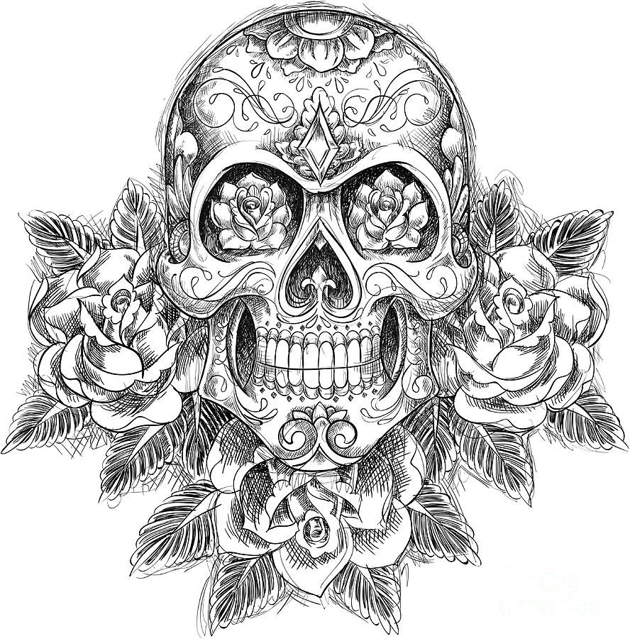 スカルと花のモノクロアート Sketchy Skull With Roses by Tairy