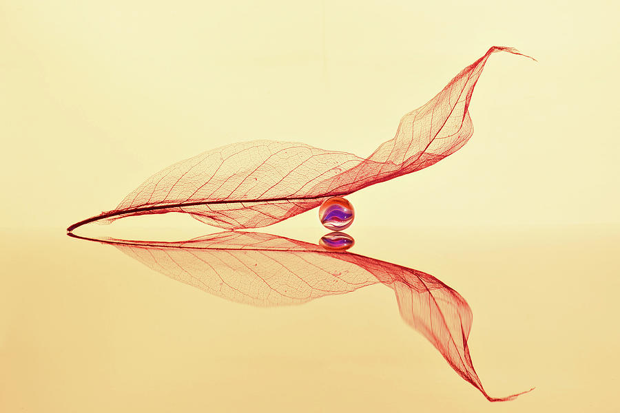 Small Spherical by E.amer
