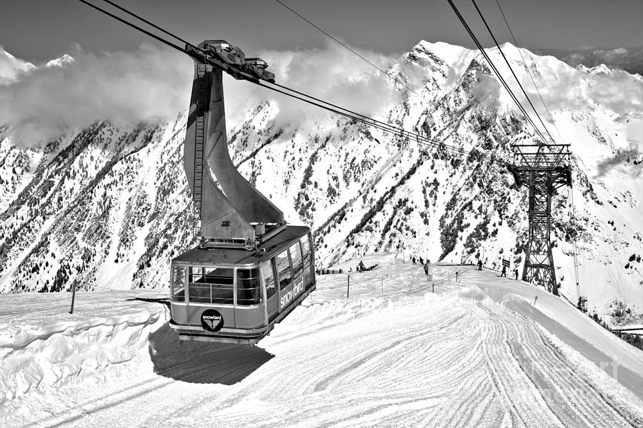 Snowbird Blue Tram Shadow Black And White Photograph by Adam Jewell