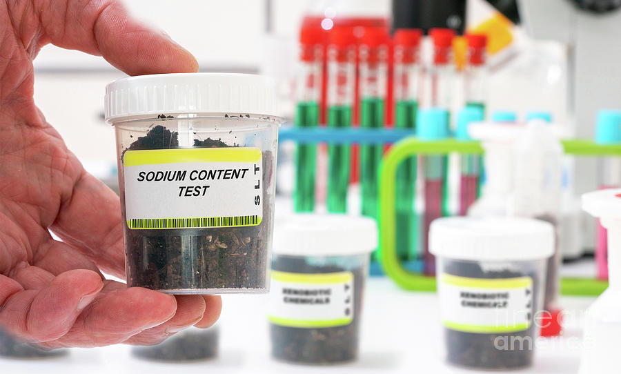 Salt Content Test Sodium Content Test In A Soil Sample by Wladimir Bulgar / Science Photo ...
