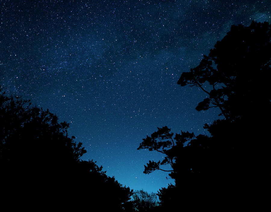 Star Filled Dark Sky by Yusuke Murata