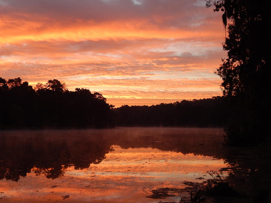 Sunrise Stripes Photograph by Karen Stansberry