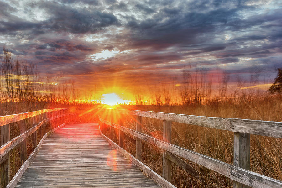 Sunset Walk by Russell Pugh