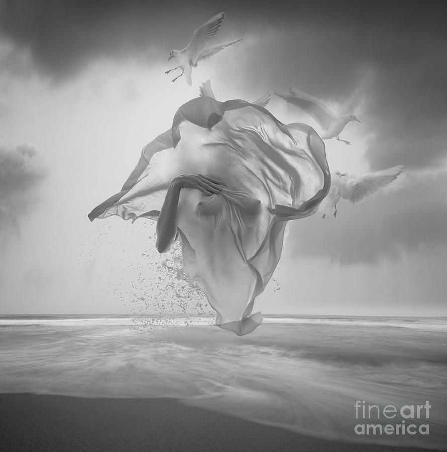 Surreal Black And White Picture by Vizerskaya