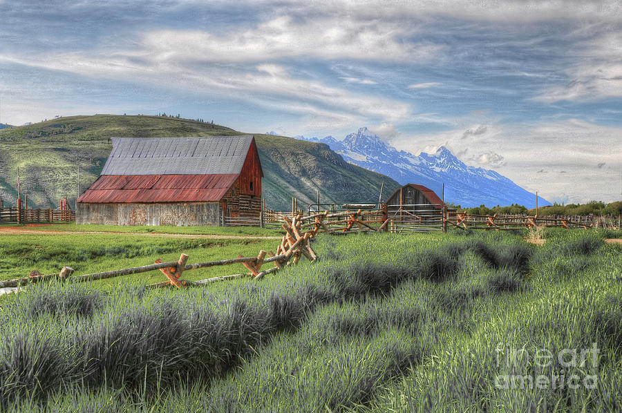 Teton Charm Photograph by Randall Dill