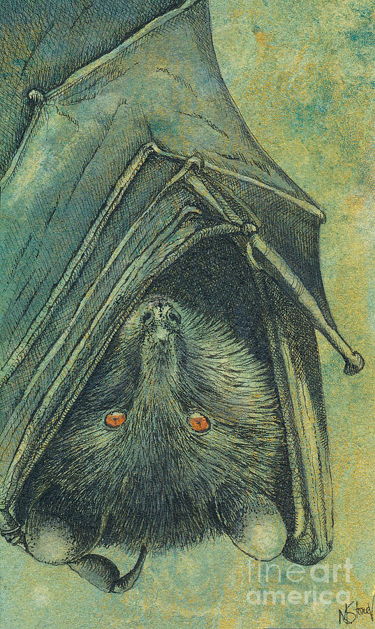 The Bat Painting by Marie Stone-van Vuuren