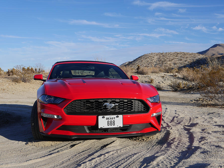 The Beast Photograph by Richard Reeve