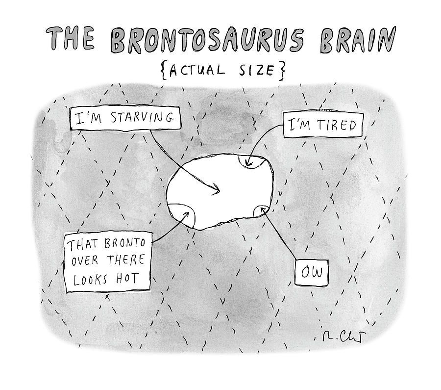 The Brontosaurus Brain Diagram Drawing - The Brontosaurus Brain by Roz Chast